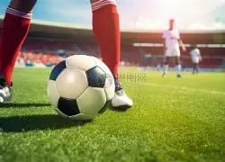 过敏奥秘揭,趣味动画科,普之旅,Tcg天成彩票,彩票平台,在线投注,实时开奖,彩票预测